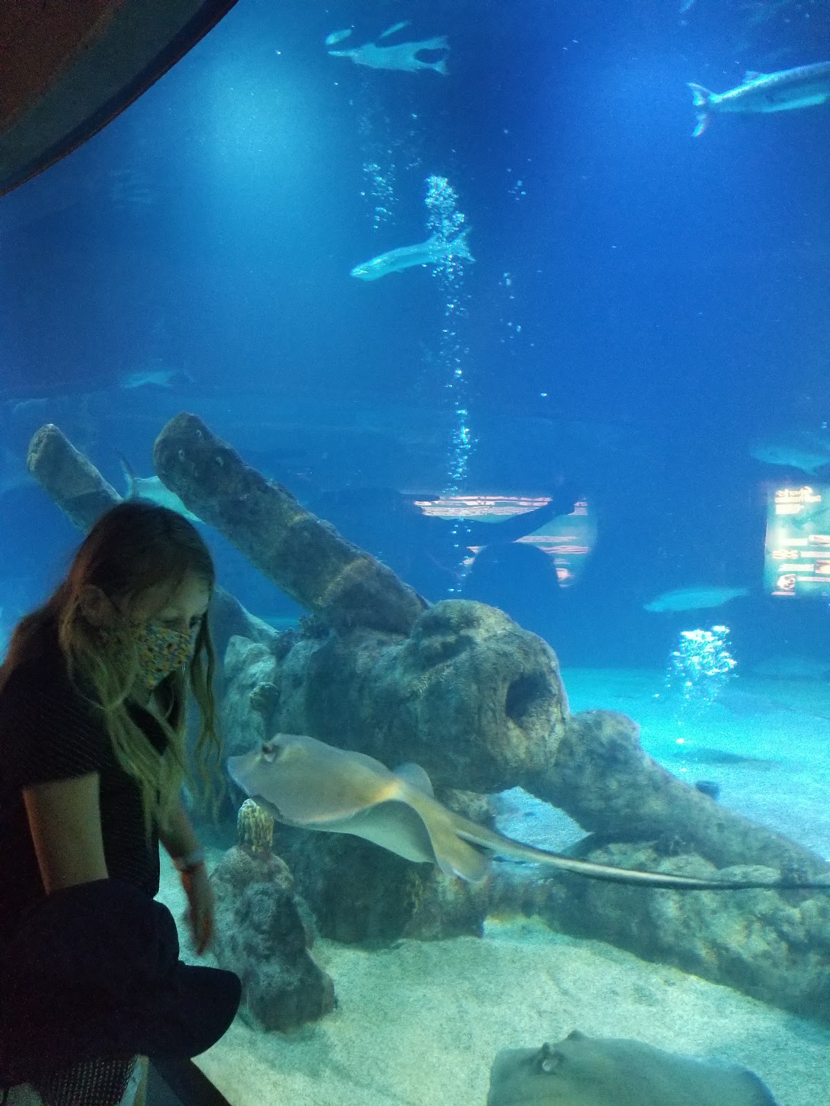 ABQ BioPark Aquarium, foto 3