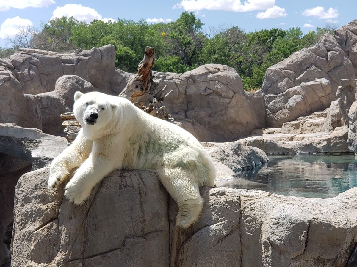 ABQ BioPark Zoo 3