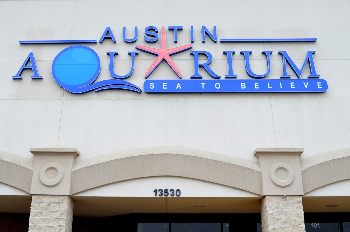 Austin Aquarium 2