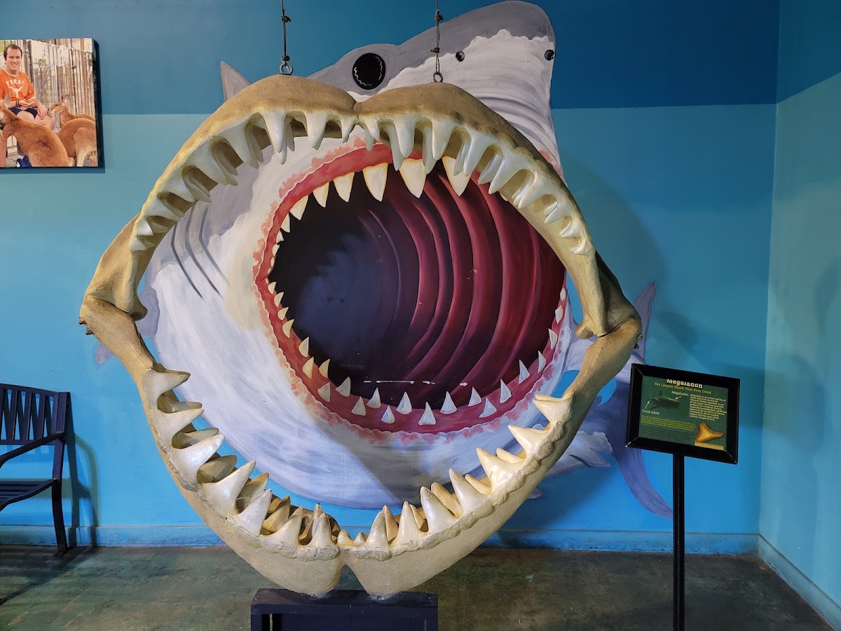 Austin Aquarium 3