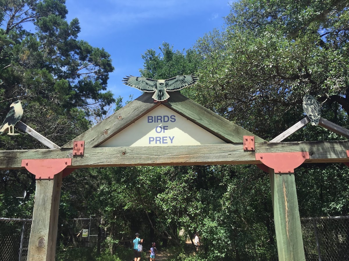 Austin Nature & Science Center 2