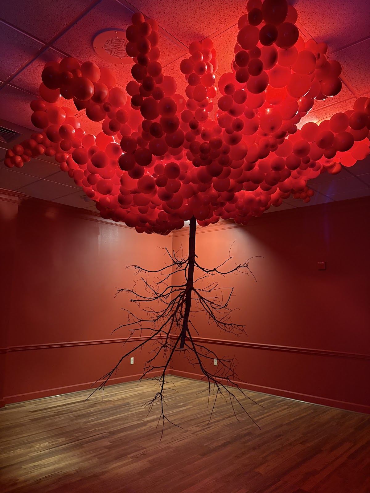 Balloon Museum | Let's Fly Austin 2