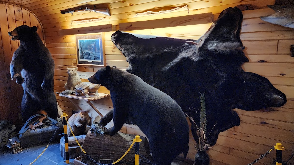 Bear Trap Inn, foto 3