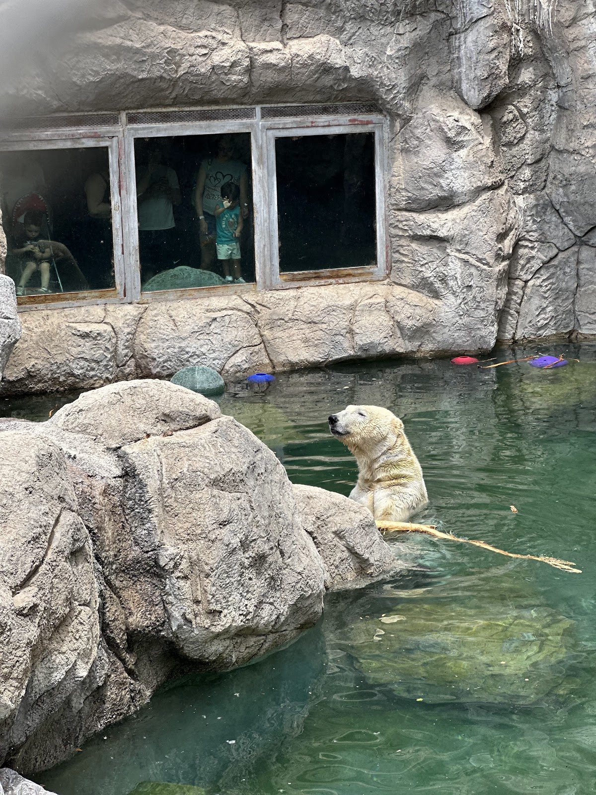 BioPark Zoo Music, foto 3