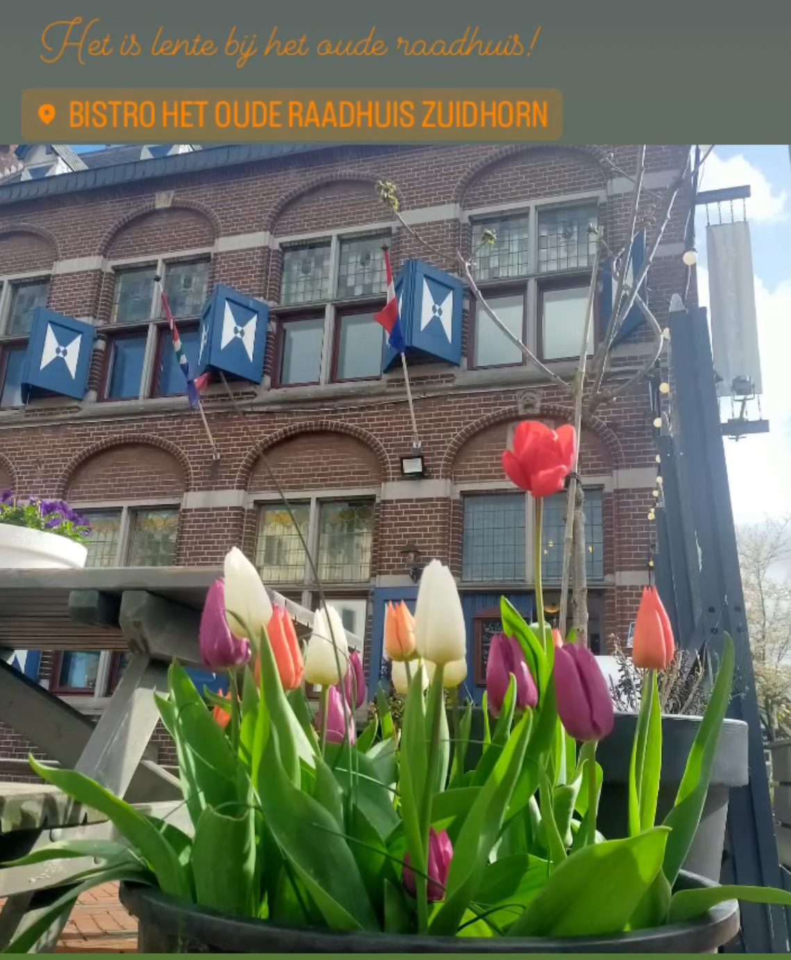 Bistro het oude raadhuis, foto 3