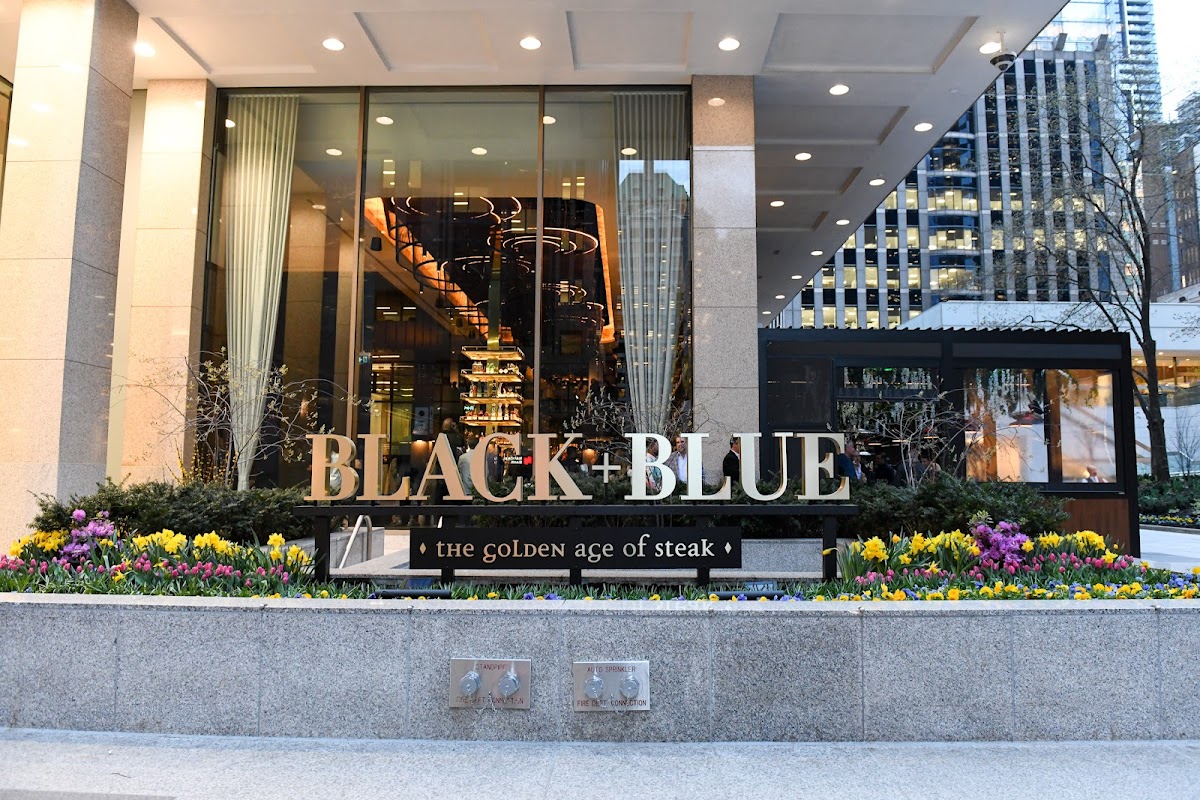 Black+Blue, foto 1
