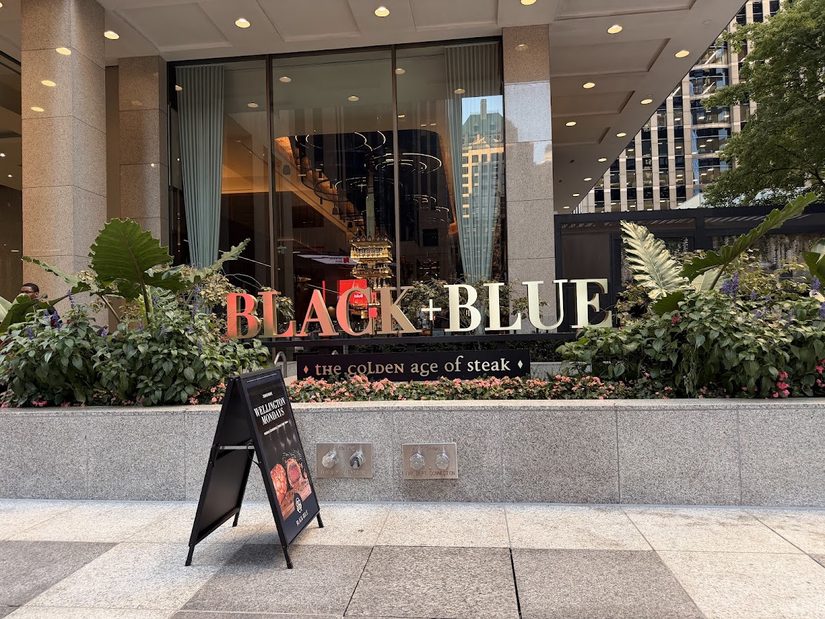 Black+Blue, foto 2