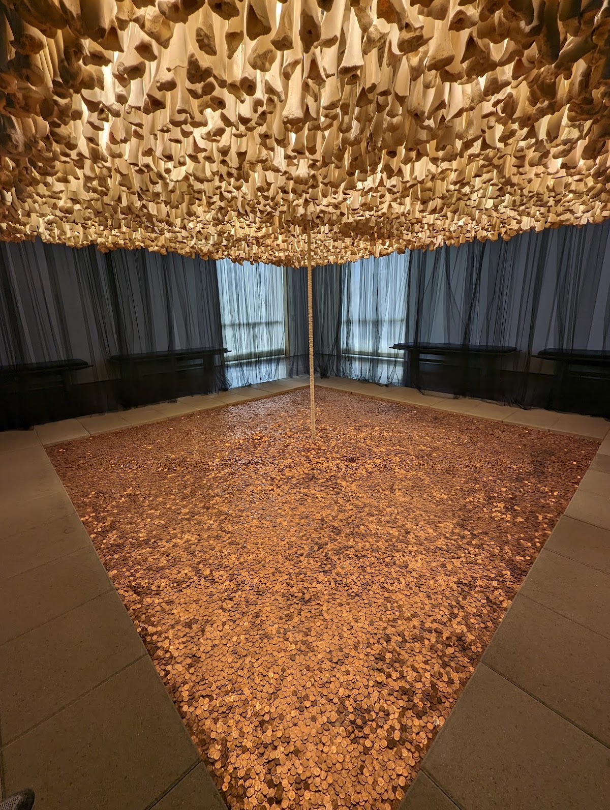 Blanton Museum of Art 4