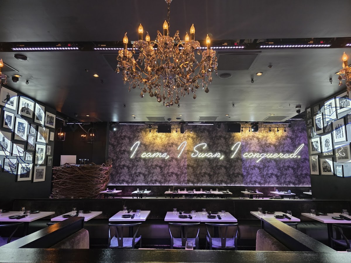 BLK Swan - Romantic date spot in Baltimore