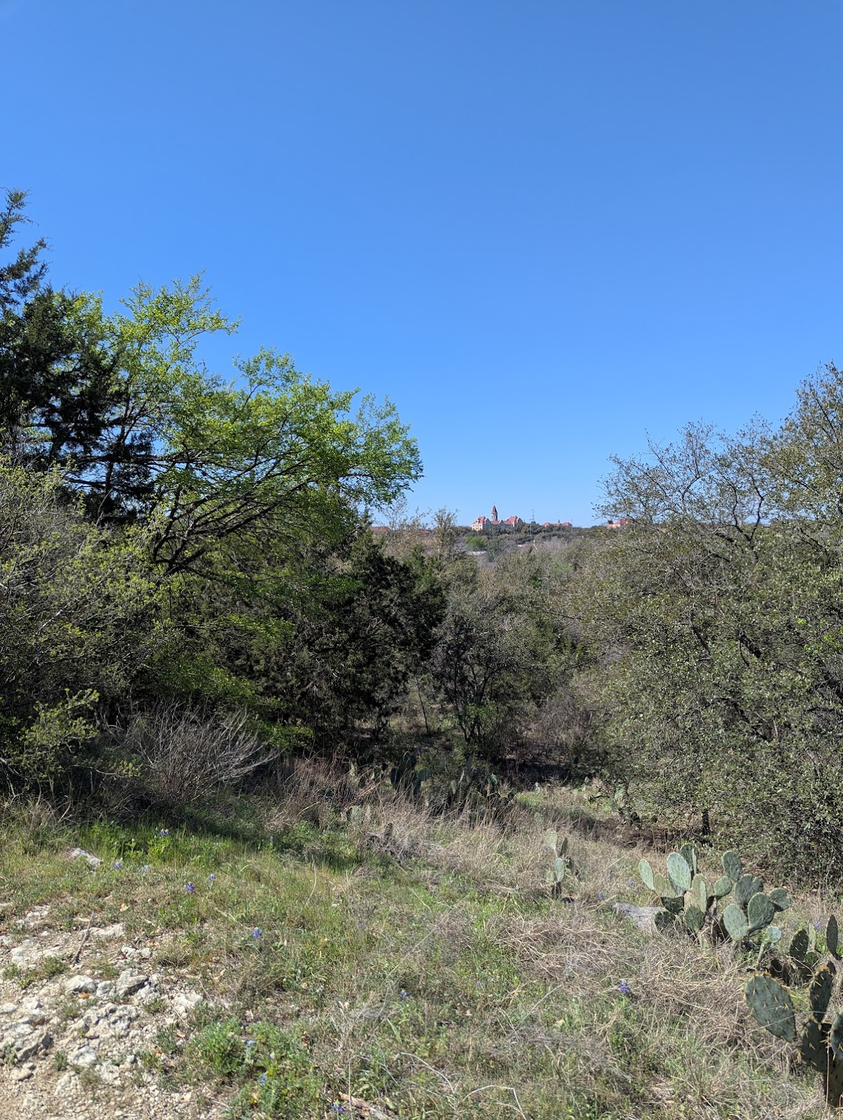 Blunn Creek Nature Preserve 2
