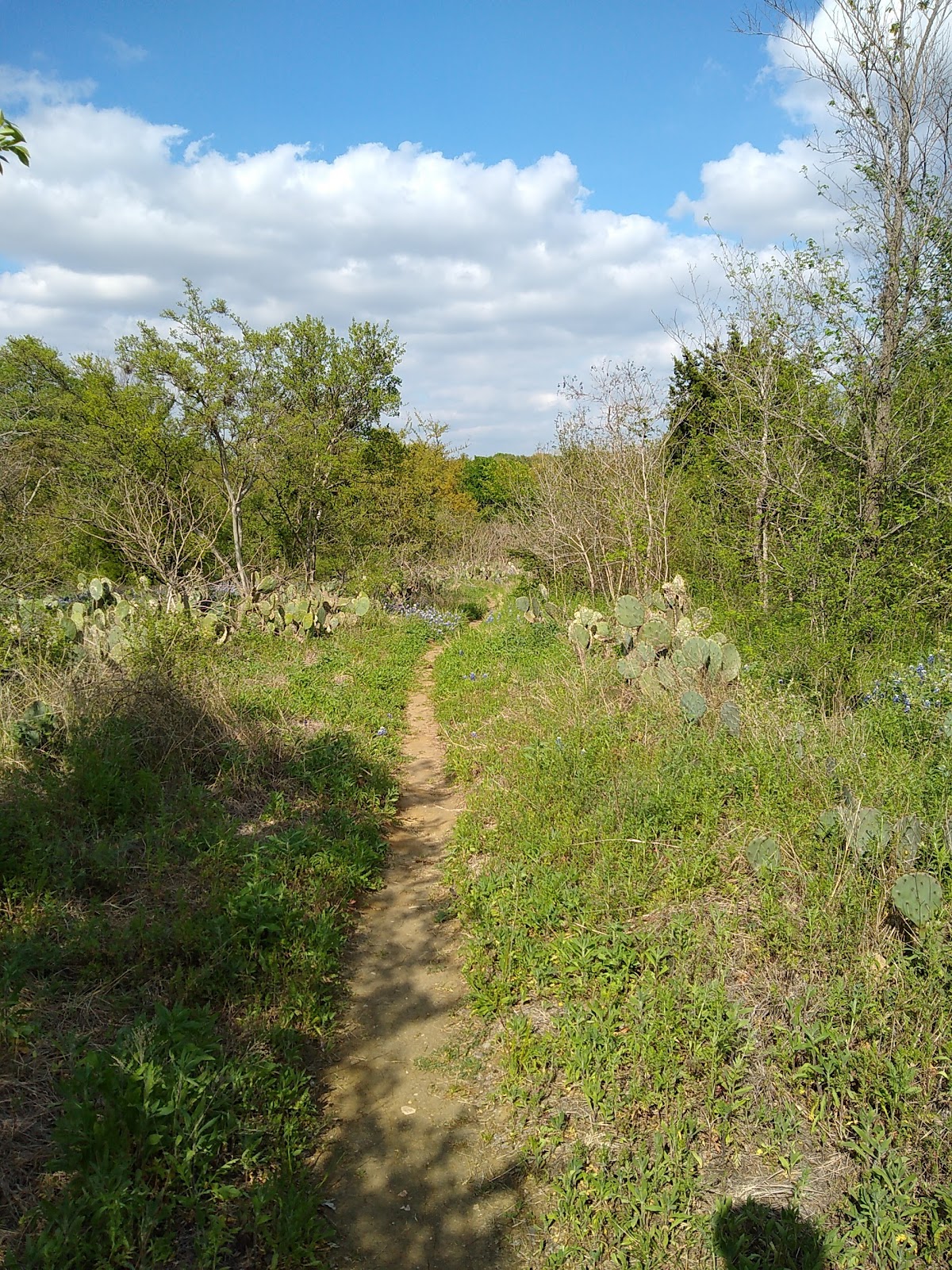 Blunn Creek Nature Preserve - Romantic date spot in Austin