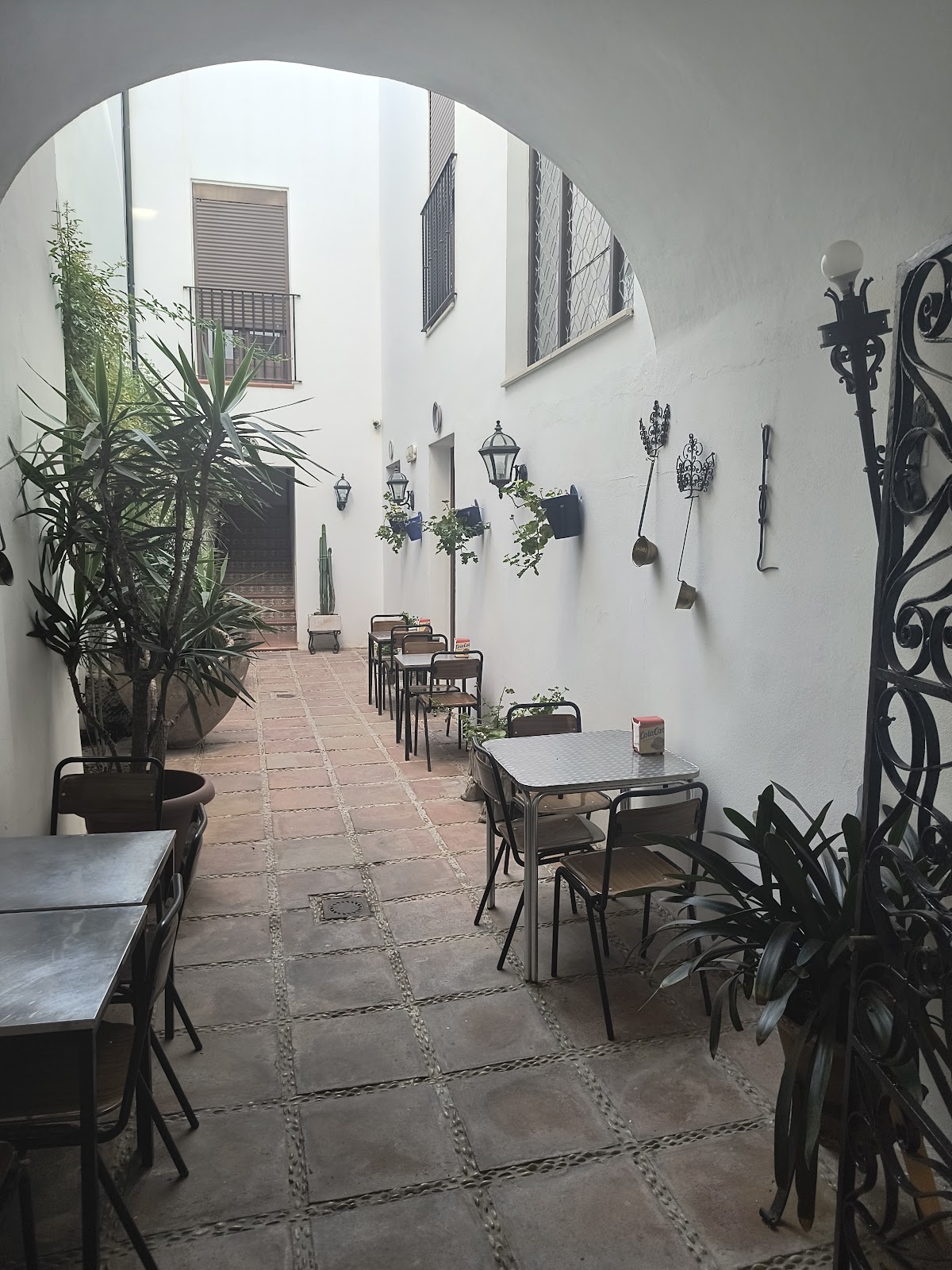 Bodegas Mezquita Céspedes, Foto 2