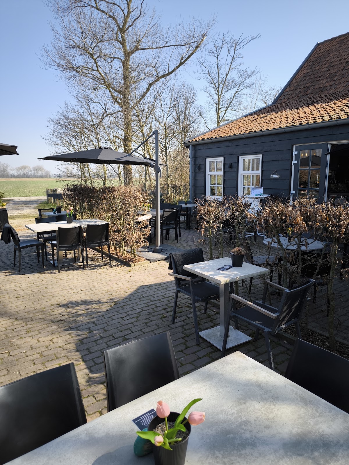 Café Palatina, foto 1