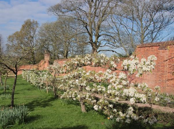 Castle Bromwich Historic Gardens, foto 1