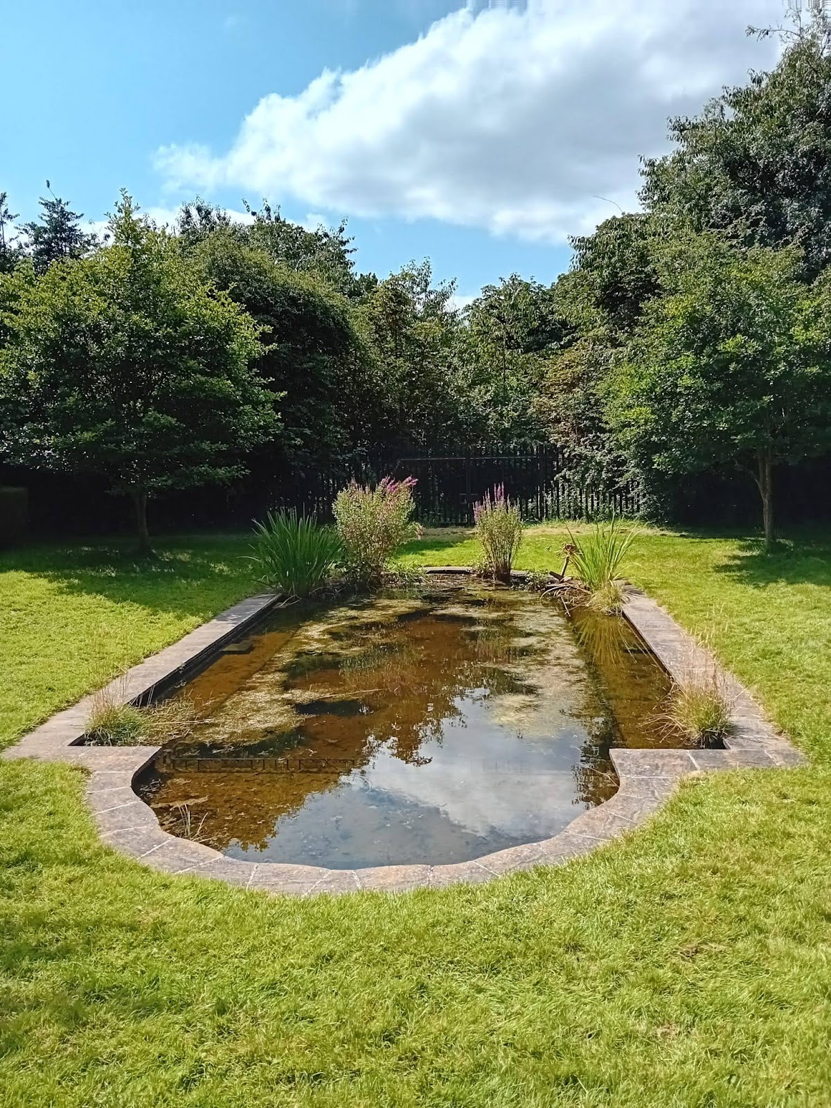 Castle Bromwich Historic Gardens, foto 4