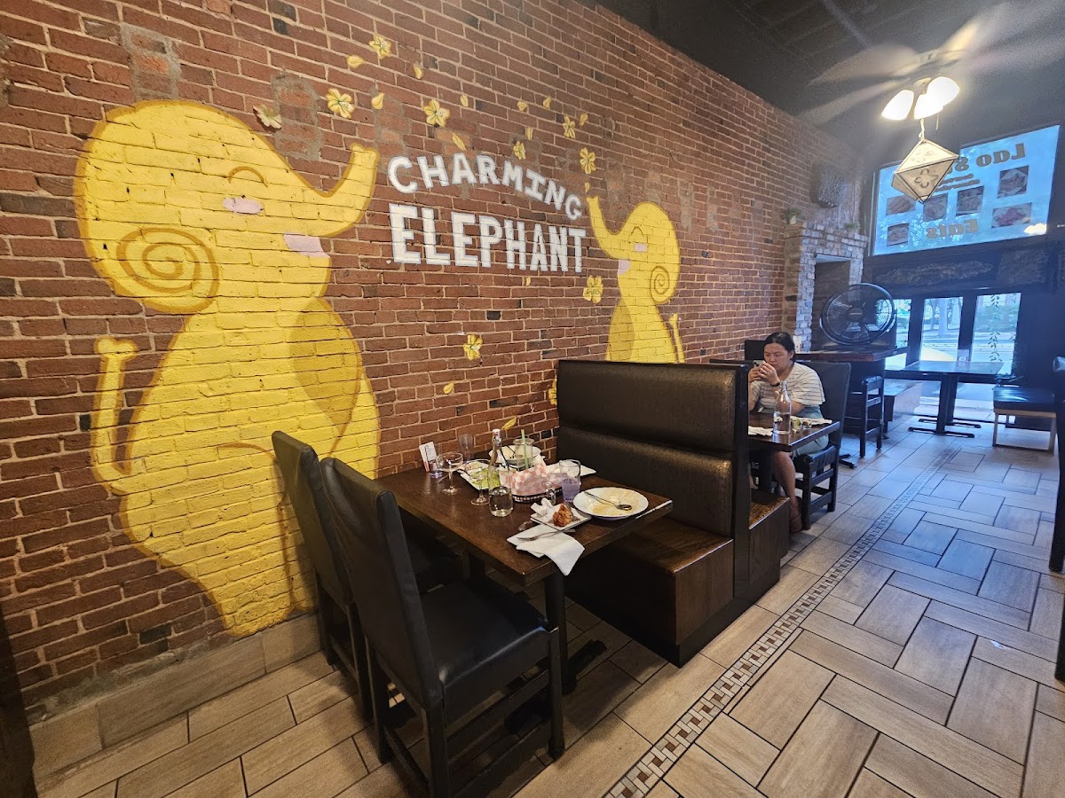 Charming Elephant 3