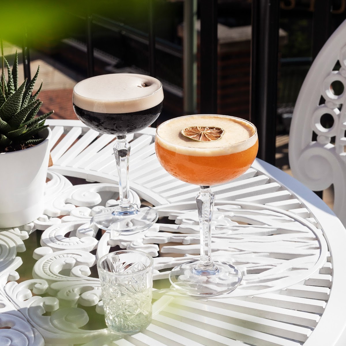 Cosy Club, foto 2