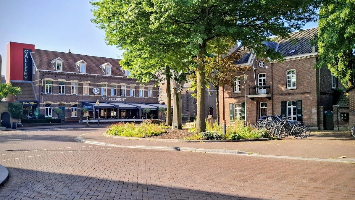 De Koncurrent, foto 3