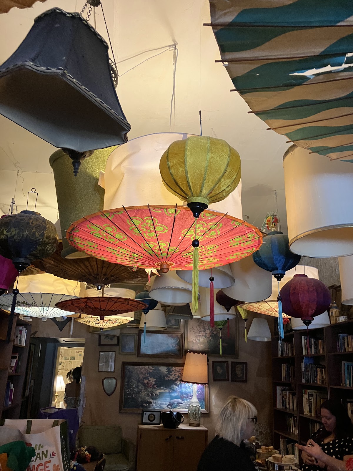 Dr. Bombay's Underwater Tea Party, foto 4