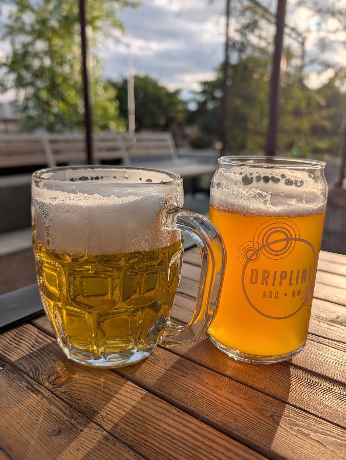 Dripline Brewery - Romantic date spot in Albuquerque