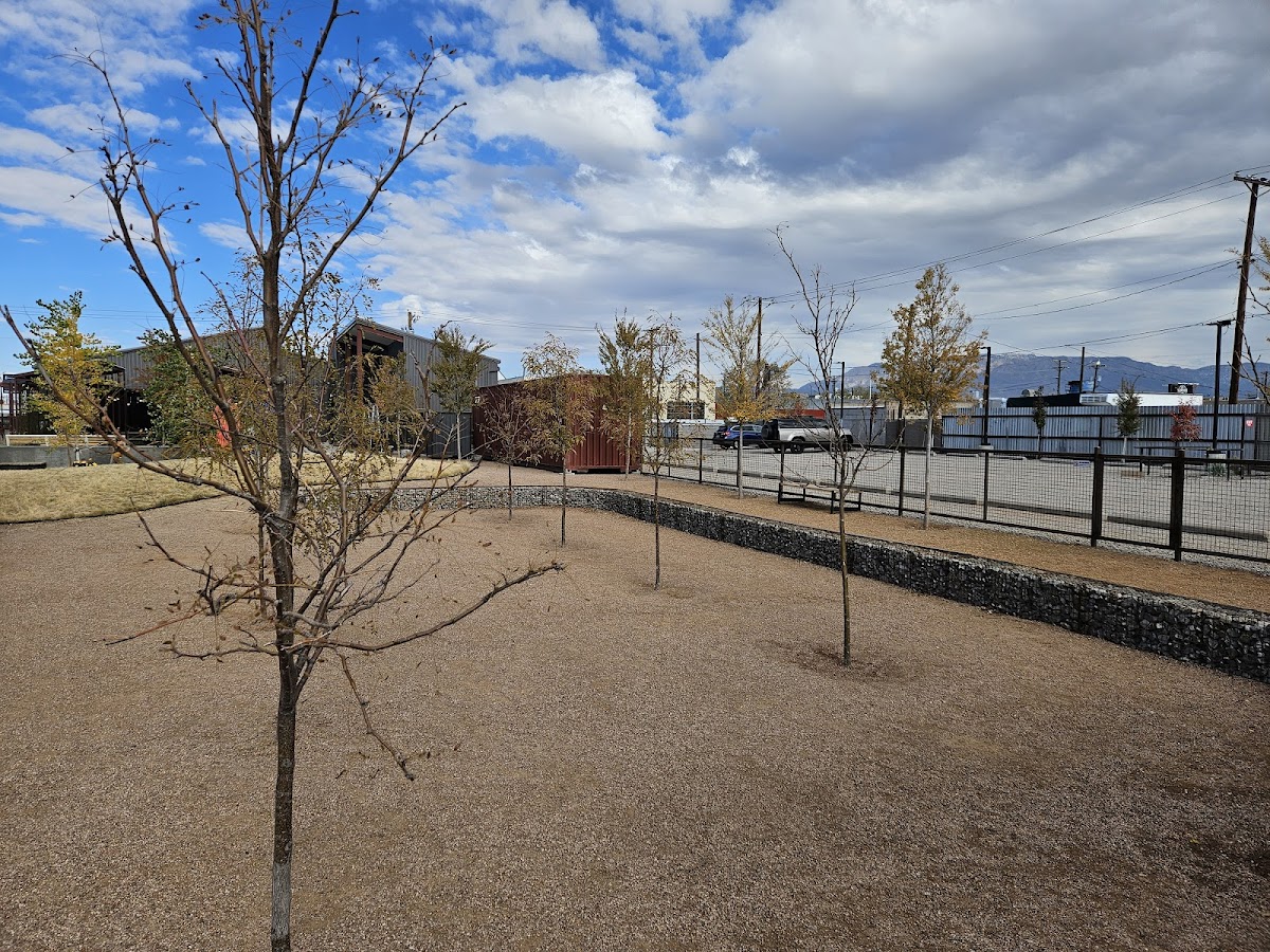 Dripline Brewery 4