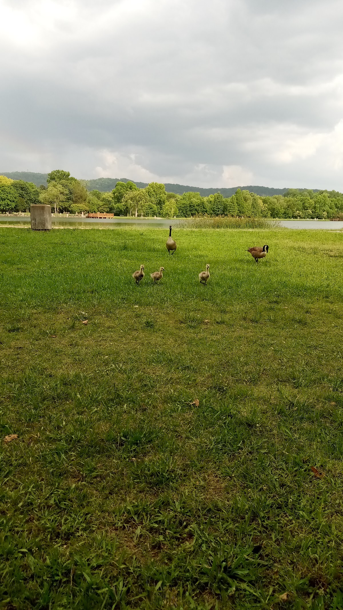 East Lake Park 4