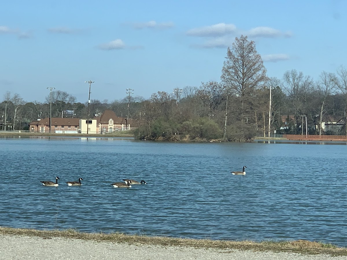 East Lake Park 2