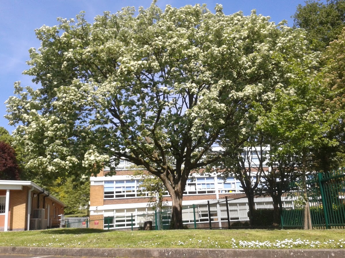 Edgbaston Community Centre, photo 2