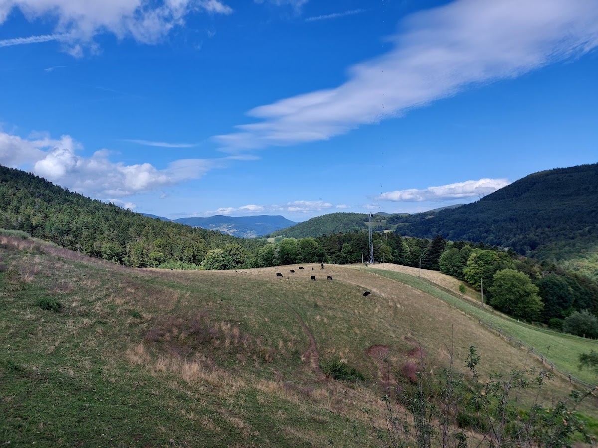 Ferme Auberge du Rain des Chênes, photo 4