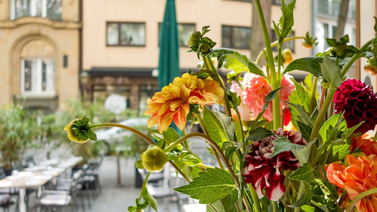 Hase Restaurant, foto 3