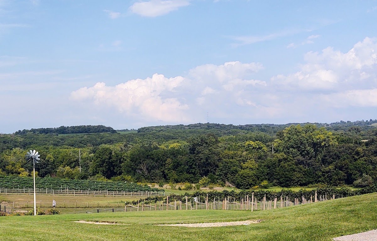 Hawk's Mill Winery, foto 3