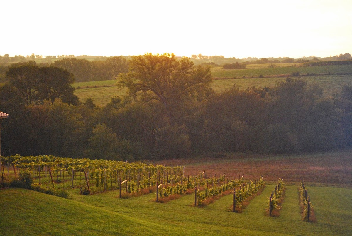 Hawk's Mill Winery, foto 1