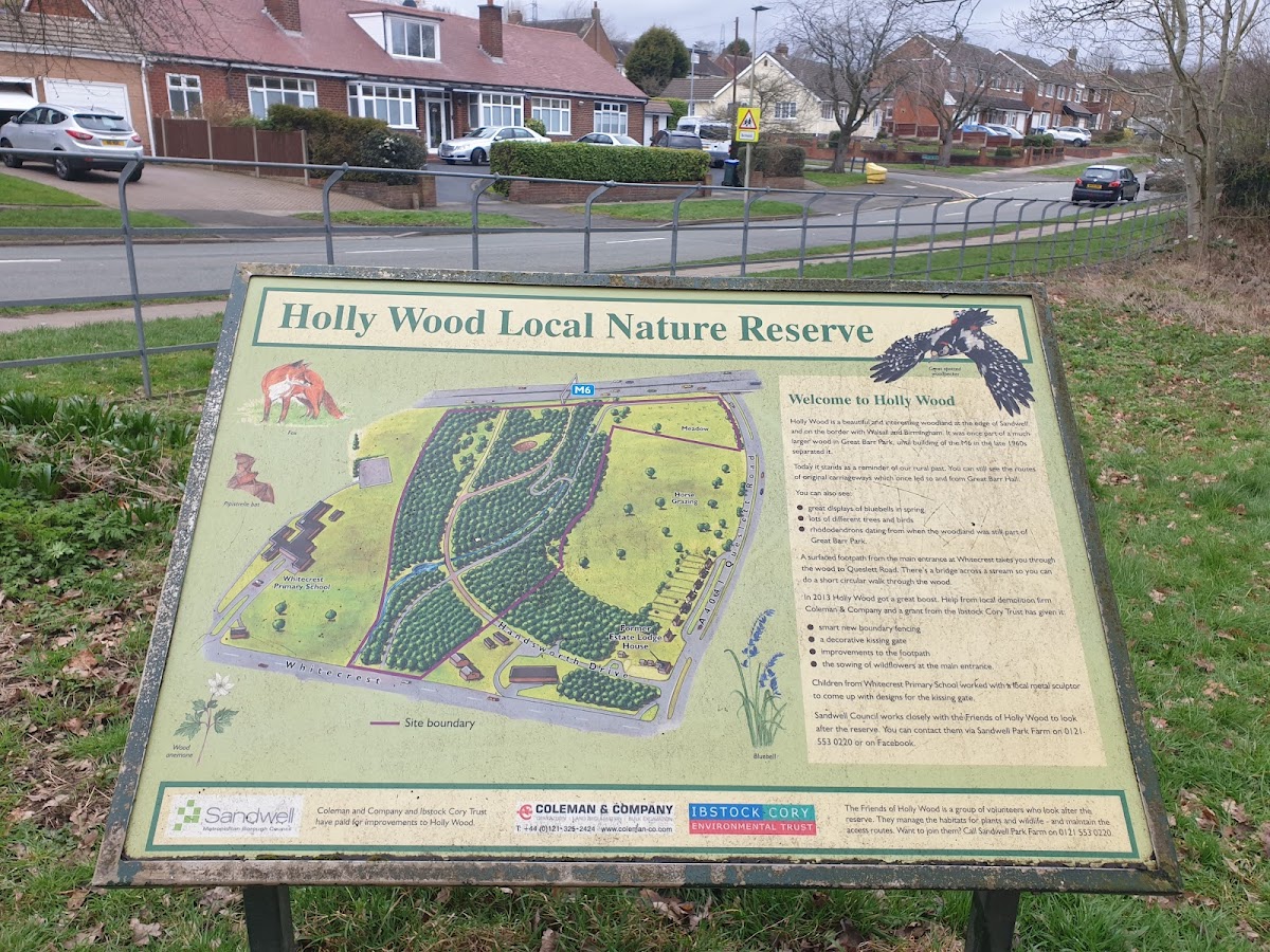 Holly Wood Nature Reserve, foto 2