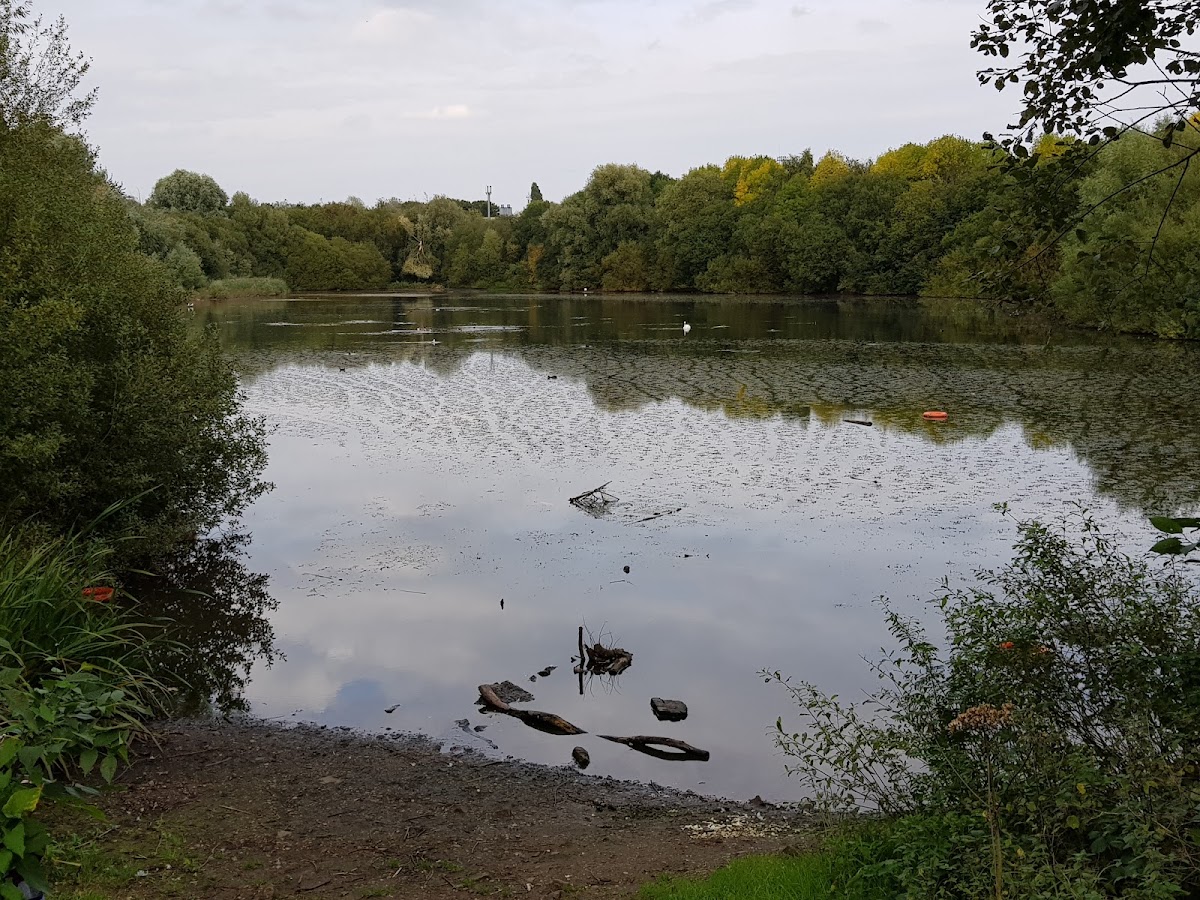 Holly Wood Nature Reserve, foto 4