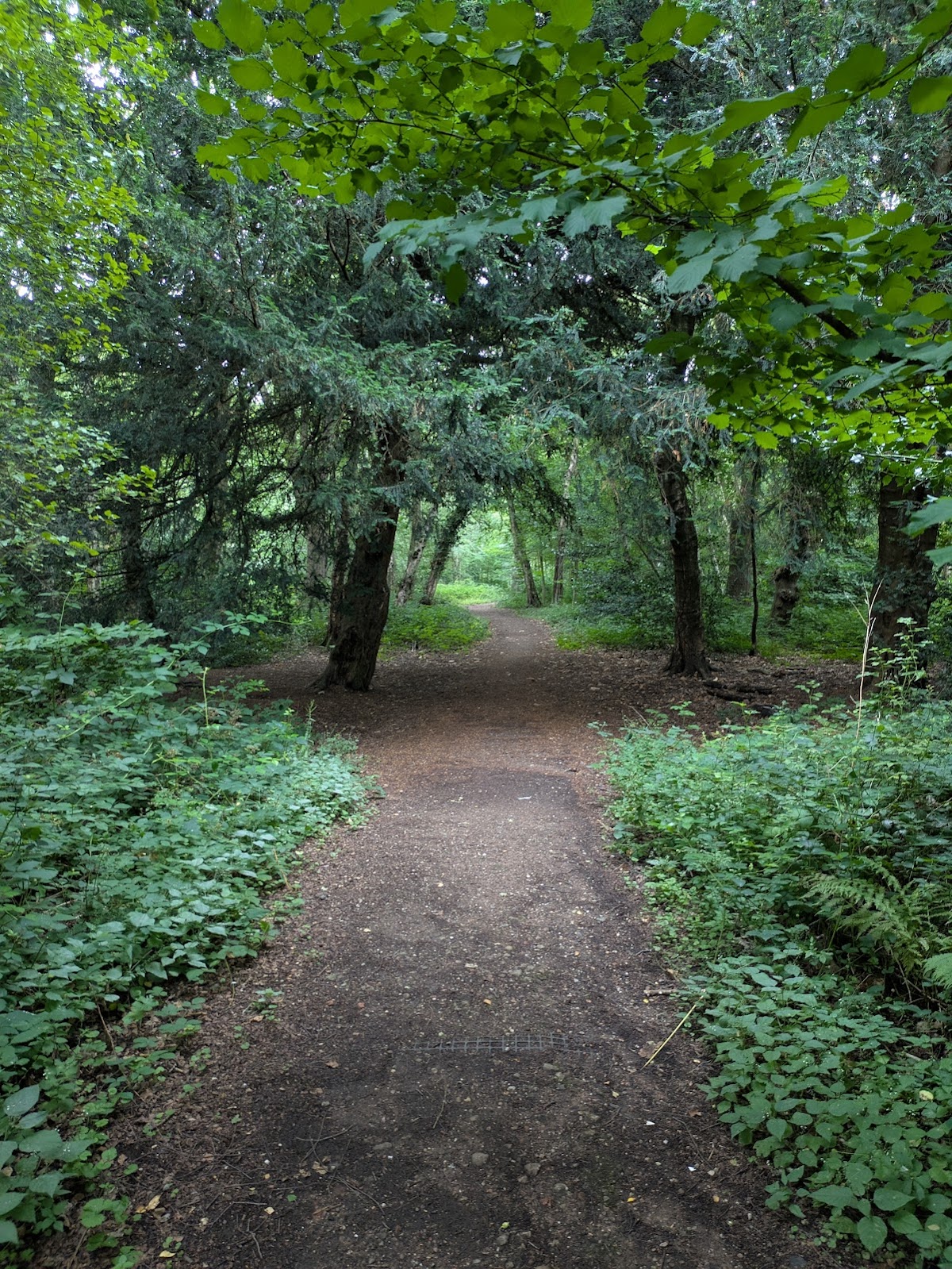 Holly Wood Nature Reserve, foto 3