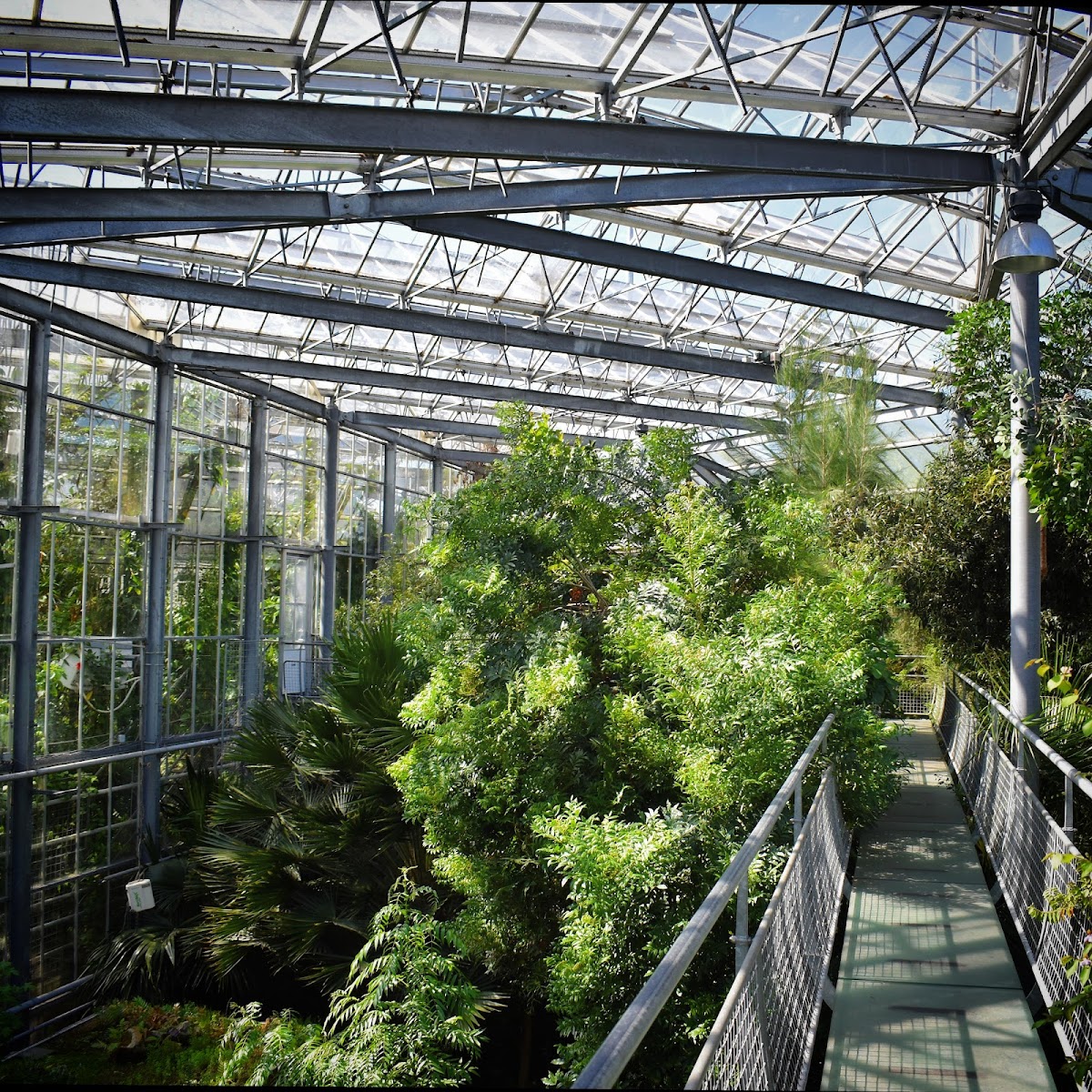 Hortus Botanicus, foto 2