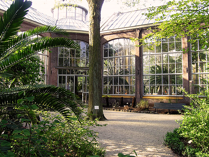 Hortus Botanicus, foto 1