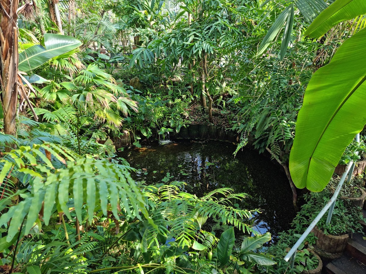 Hortus Botanicus, foto 4