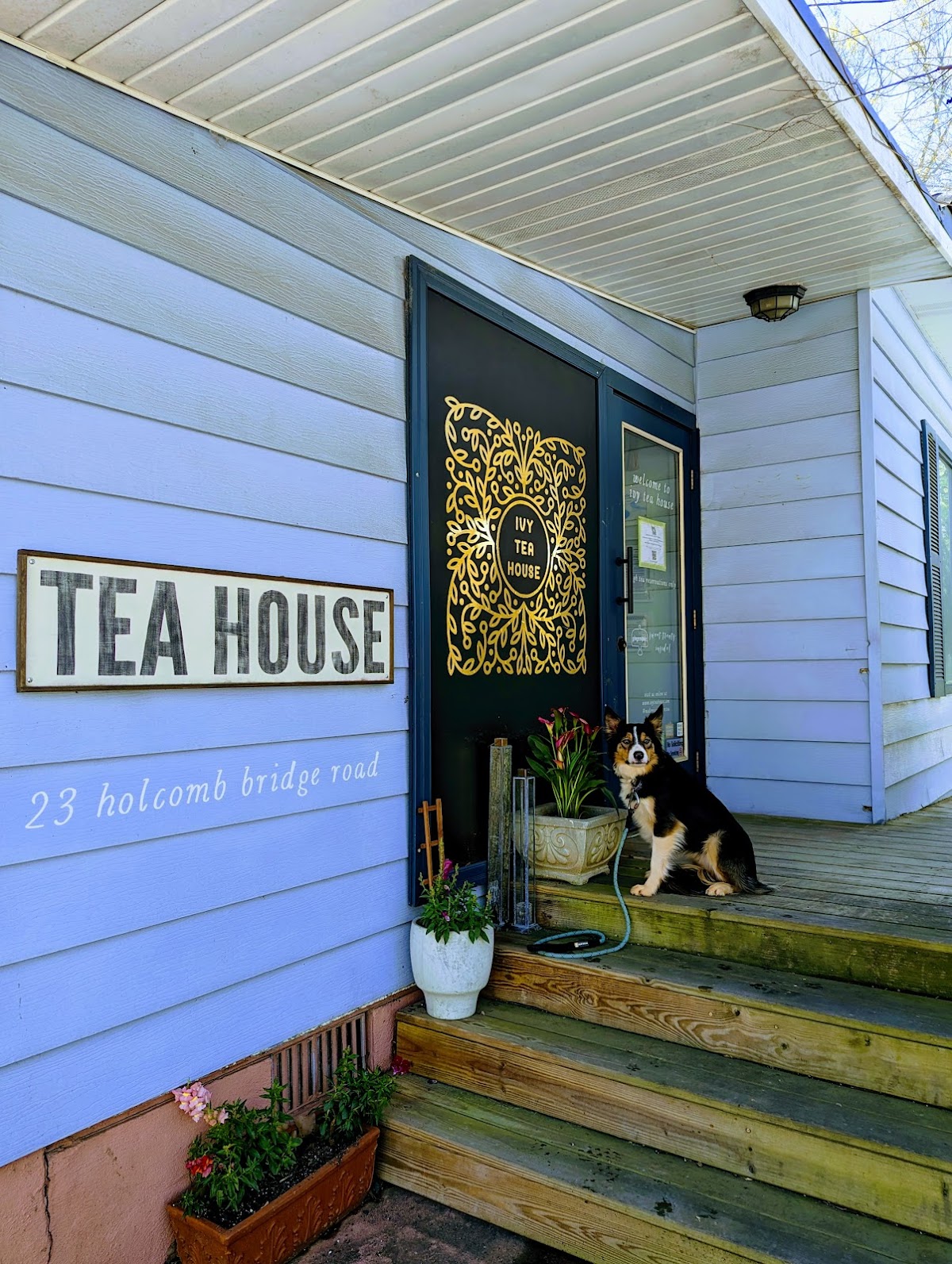 Ivy Tea House, foto 1
