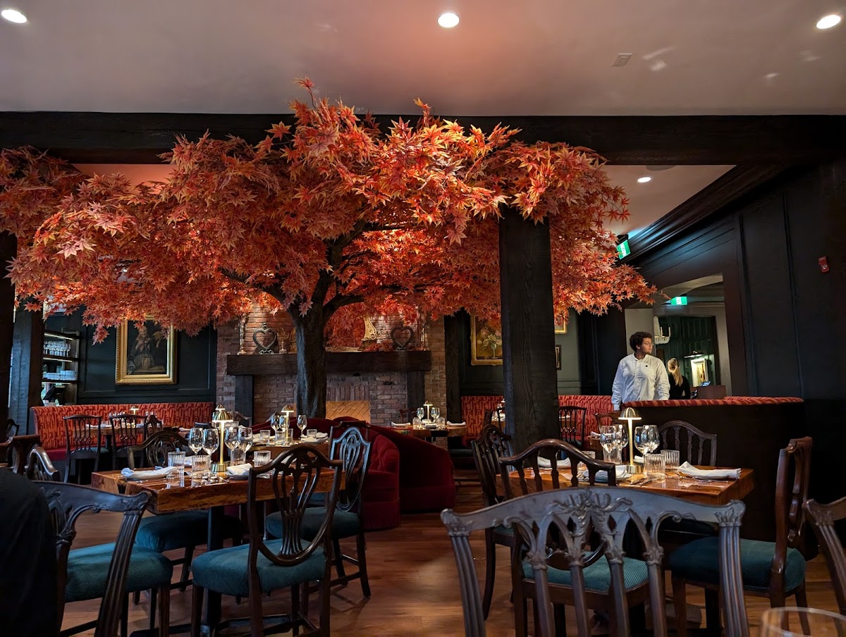 Janevca Kitchen & Lounge, photo 3