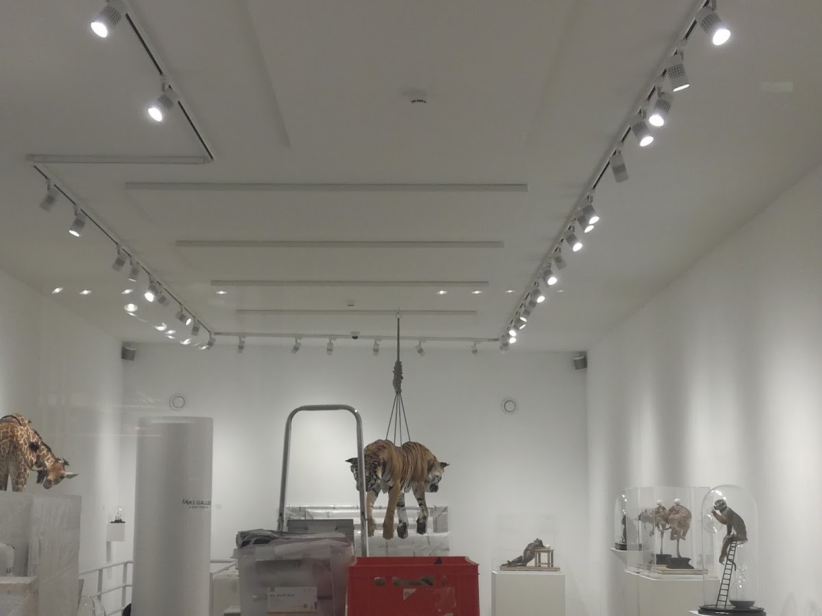 Jaski Gallery, foto 1