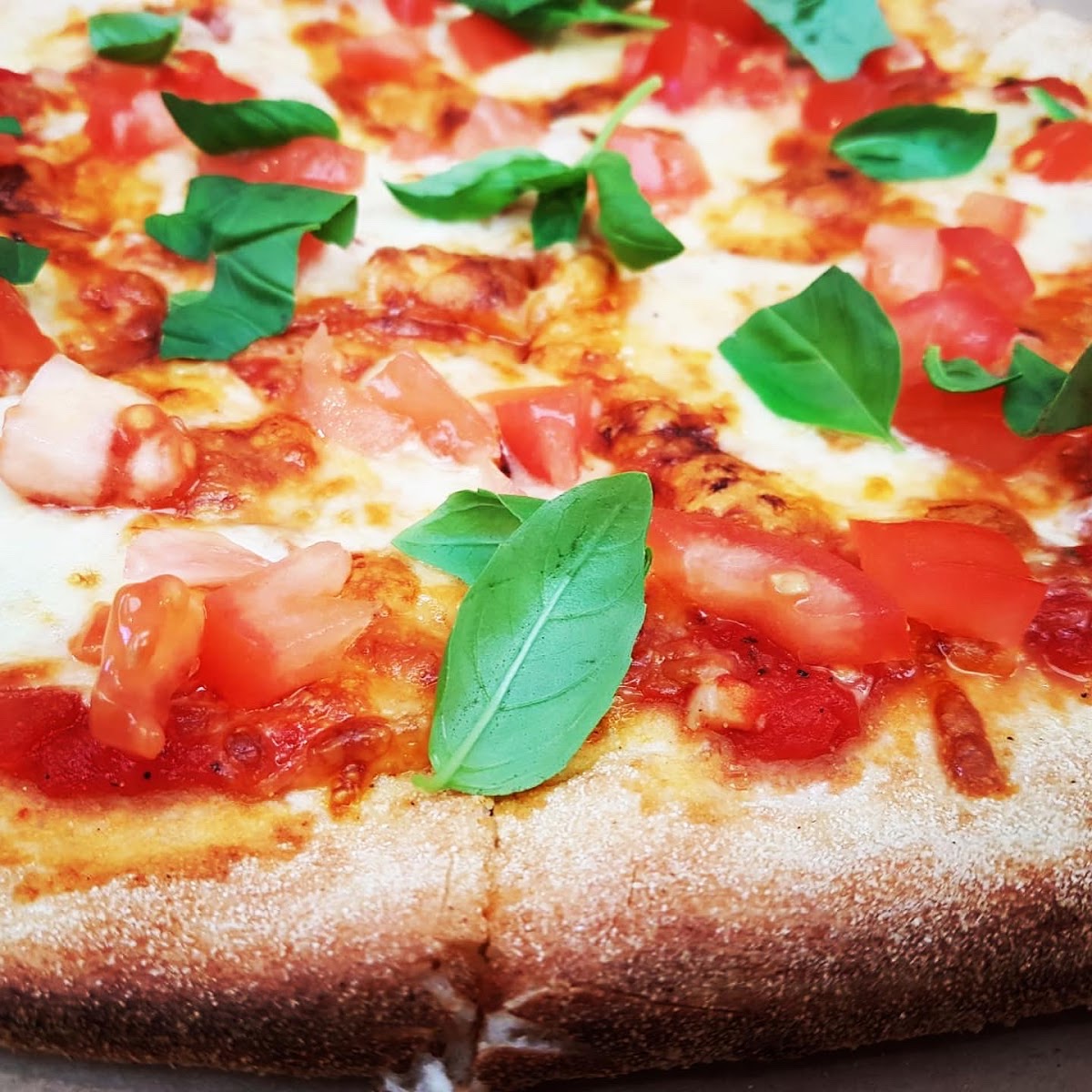 Just Say Pizza, Foto 1