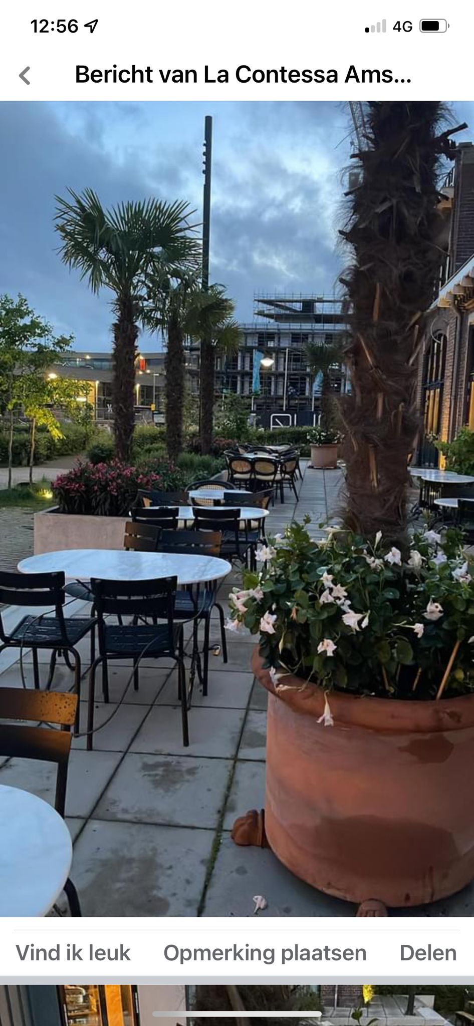 La Contessa, Ristorante Italiano & Gelateria, photo 1