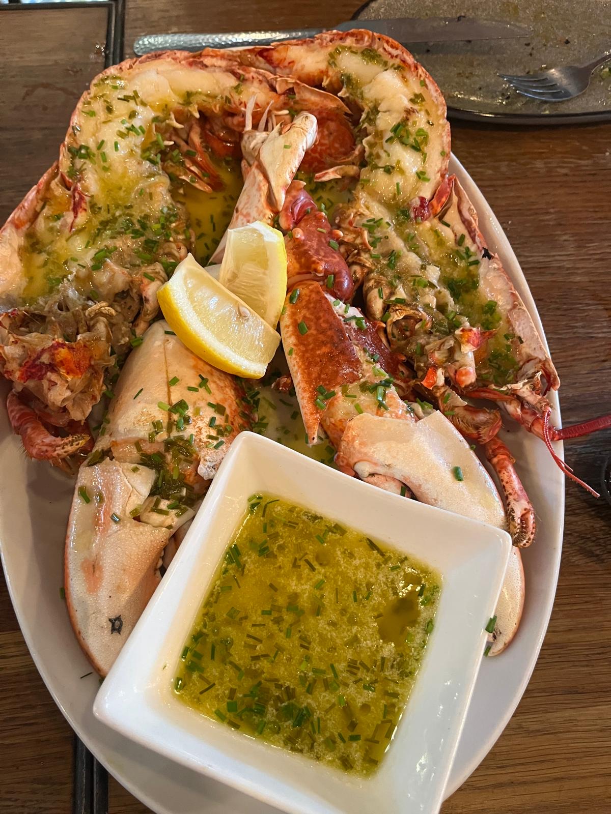 Lazy Lobster chew magna, photo 3