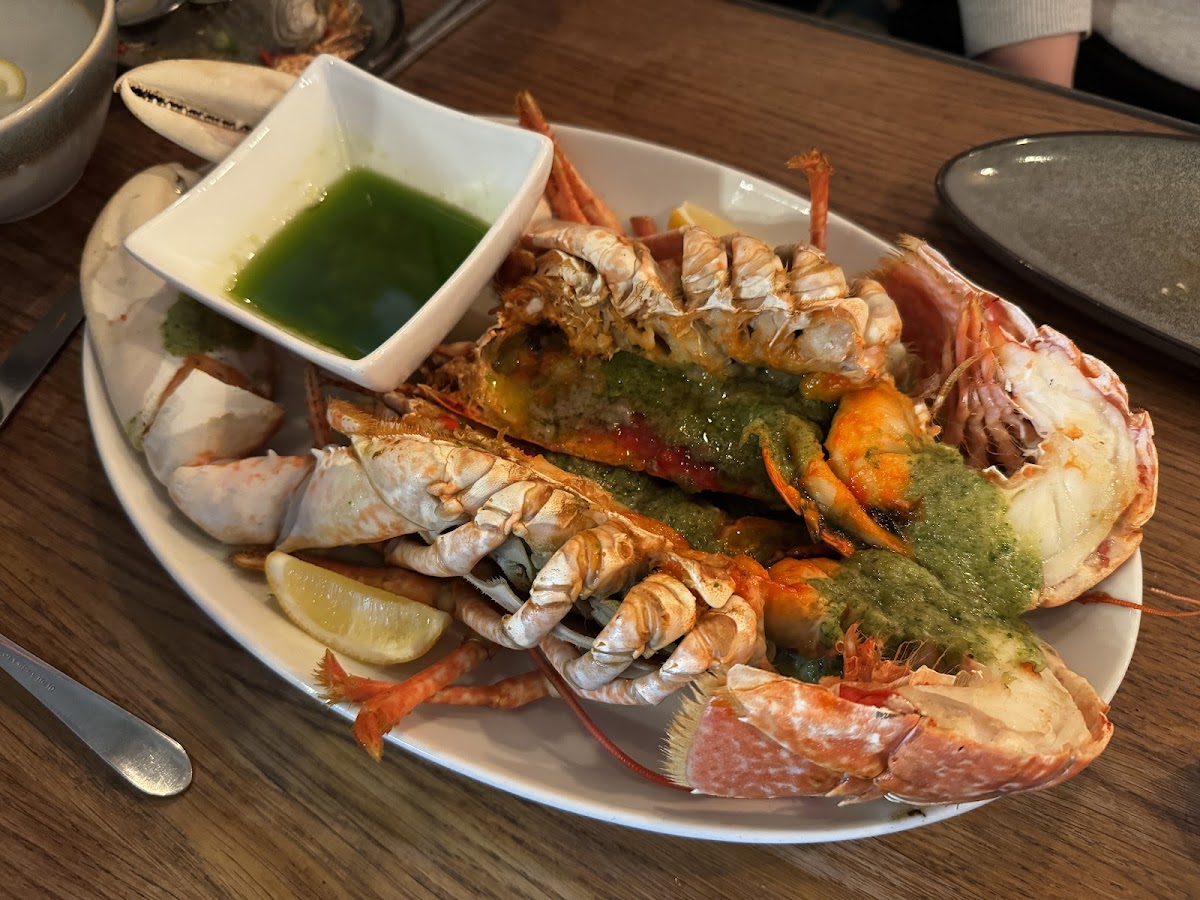 Lazy Lobster chew magna, photo 2