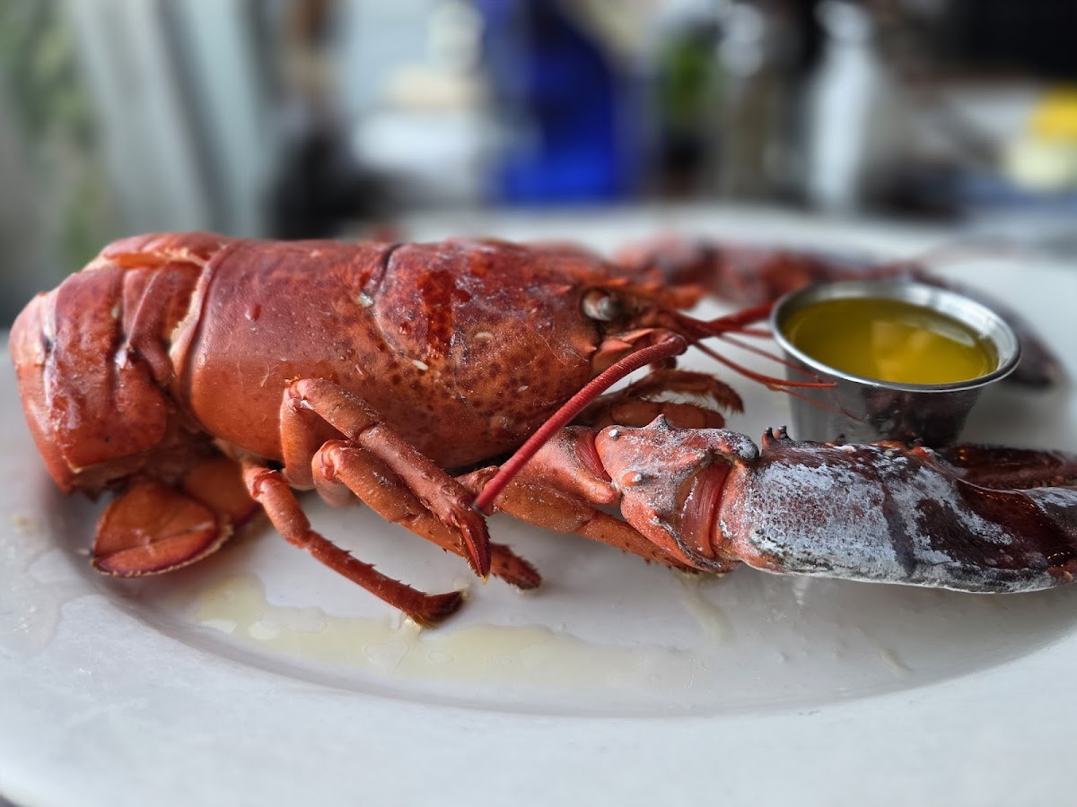 Legal Sea Foods - Long Wharf 3