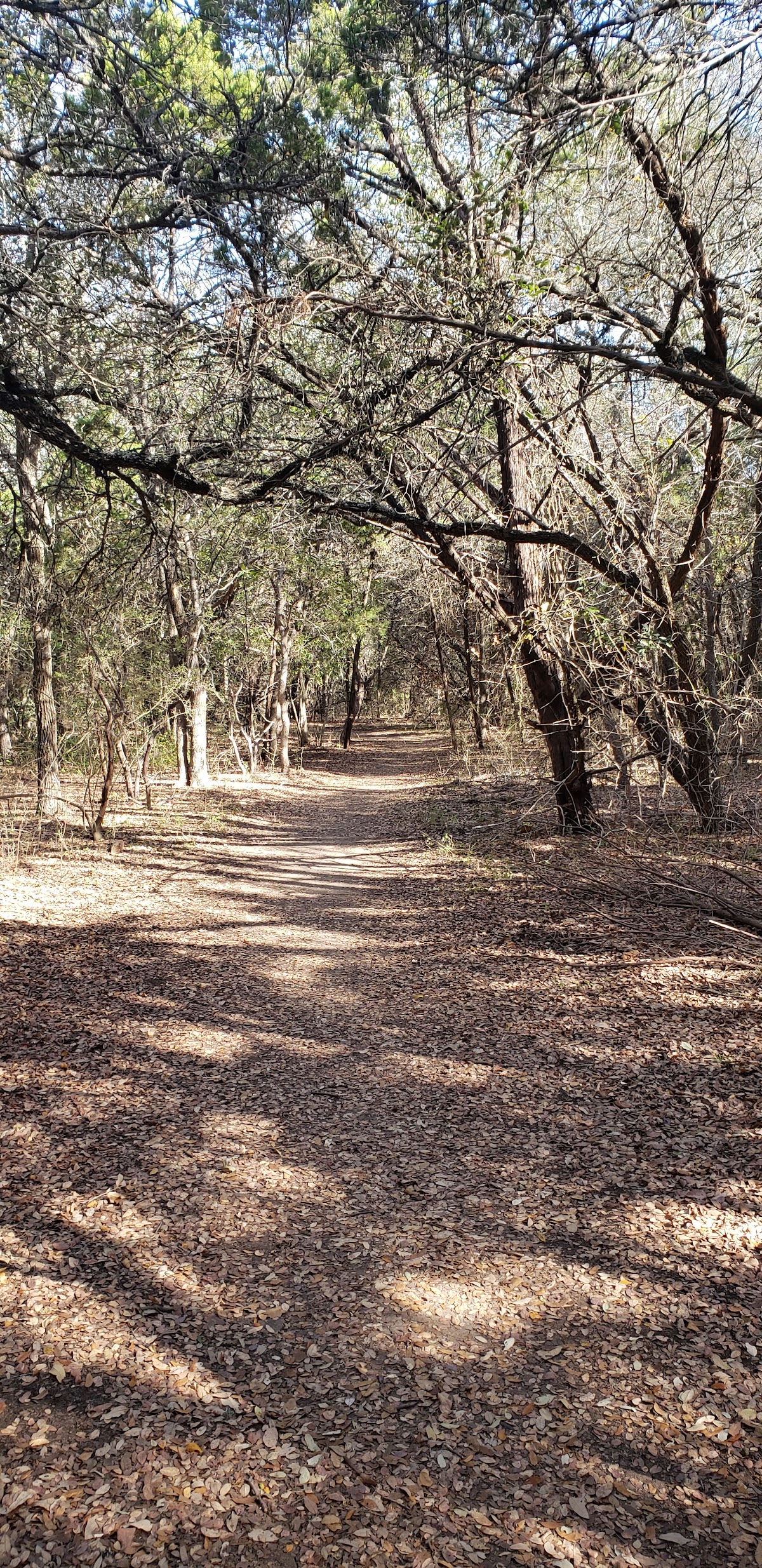 Longview Neighborhood Park 4