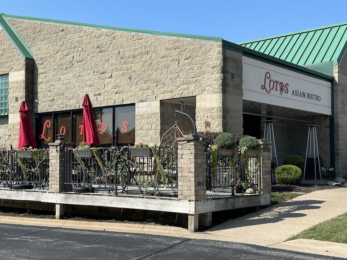 Lotus Asian Bistro, photo 1