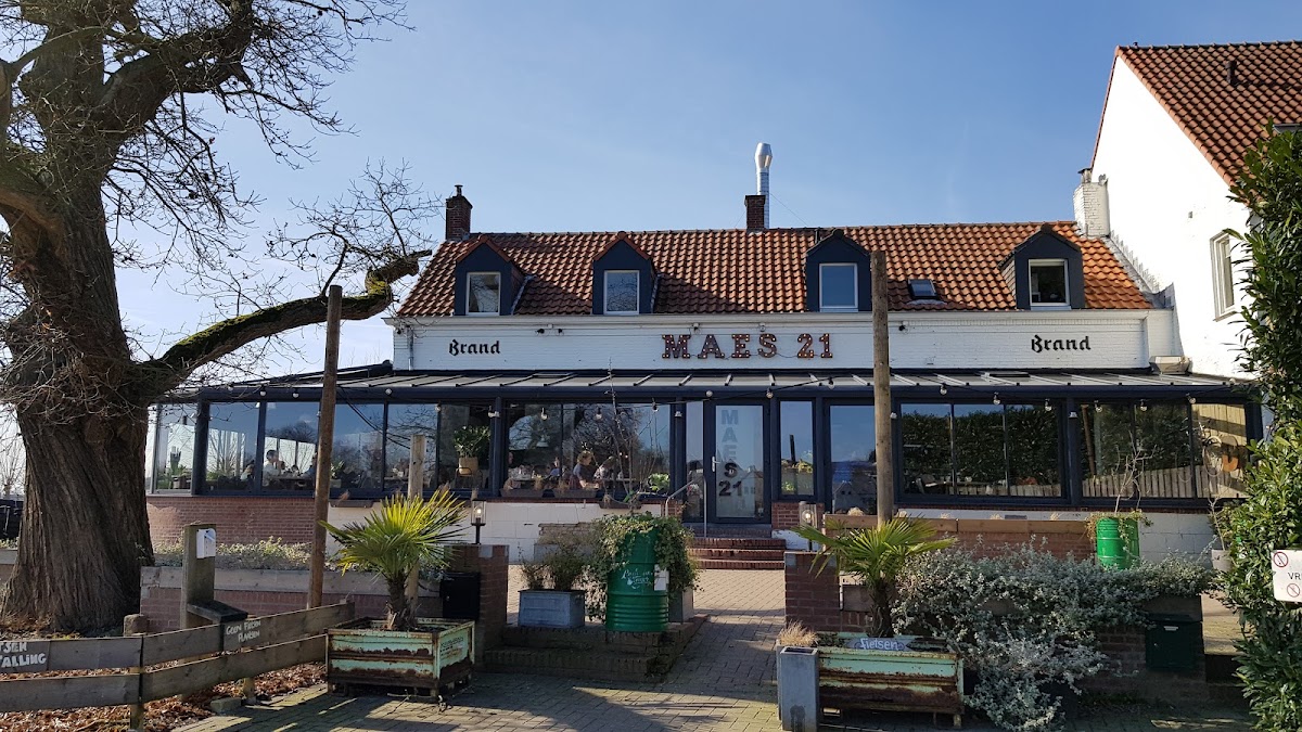 MAES 21, photo 4