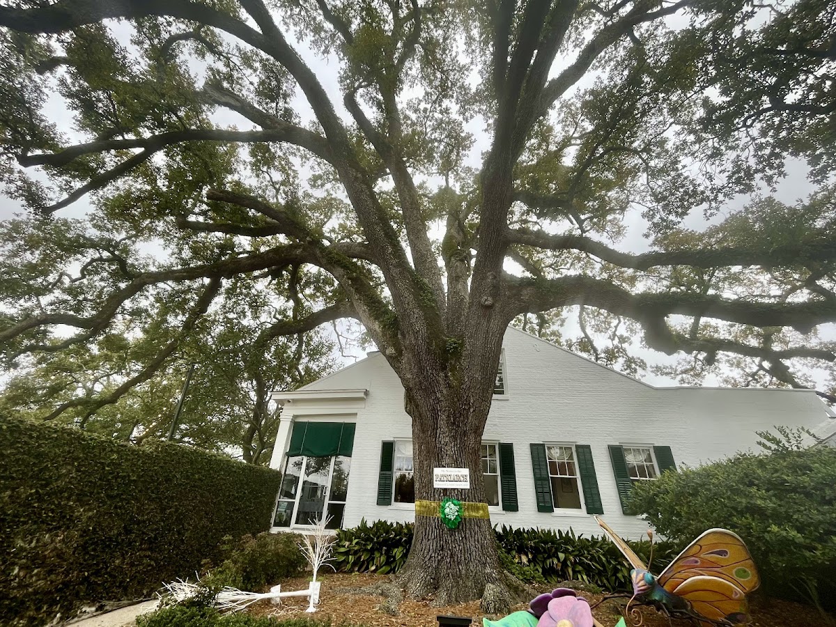 Mary Mahoney's Old French House, photo 3
